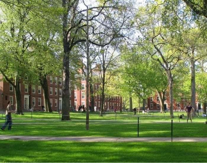 Harvard Acceptance, Revoked Harvard Acceptance, Harvard Admission
