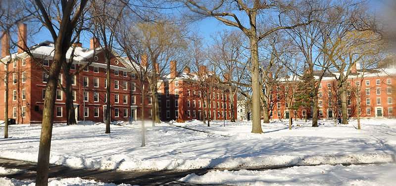 Harvard Yard is featured after a snowfall.